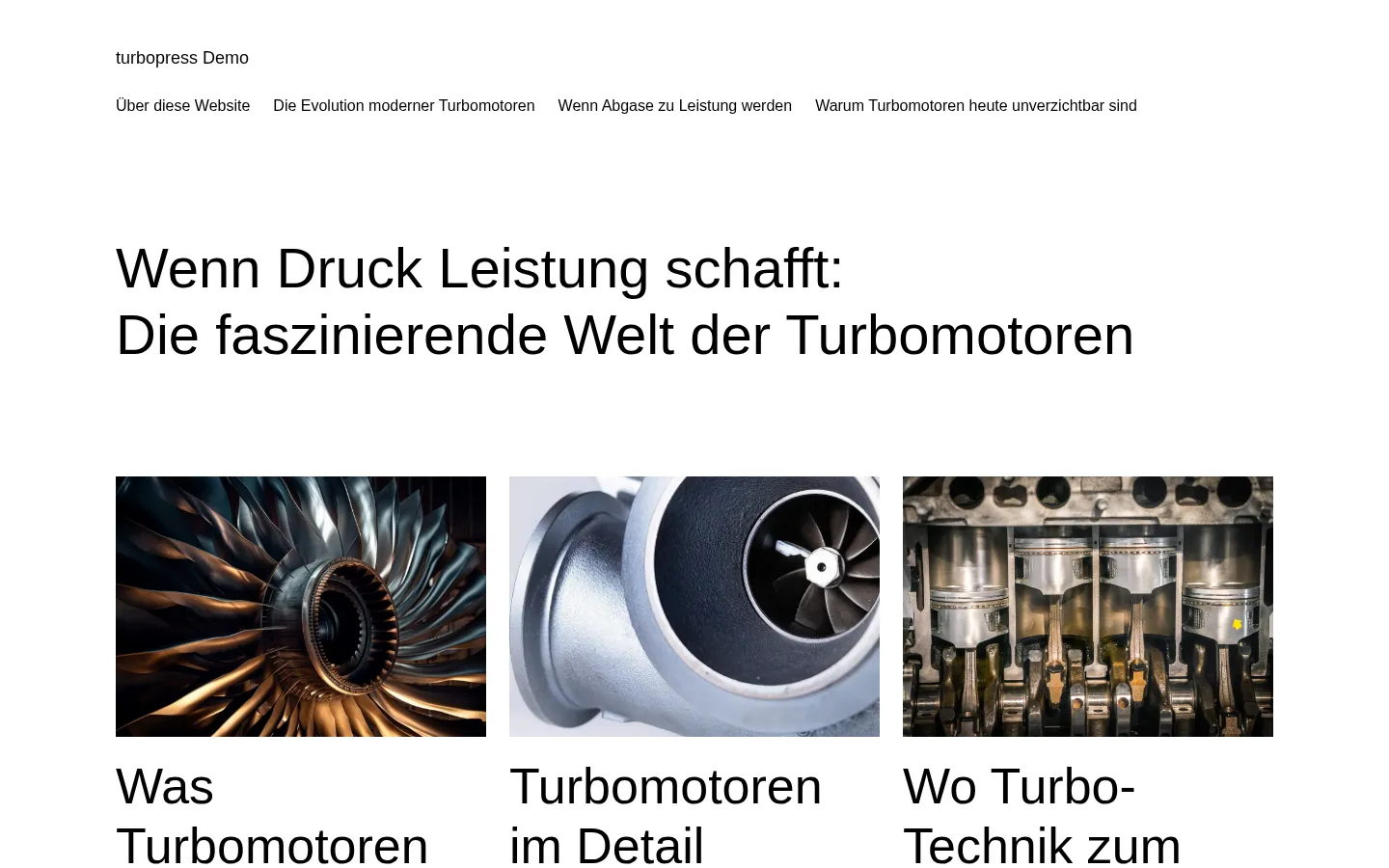 Screenshot der geprüften Website https://demo.turbopress.de/