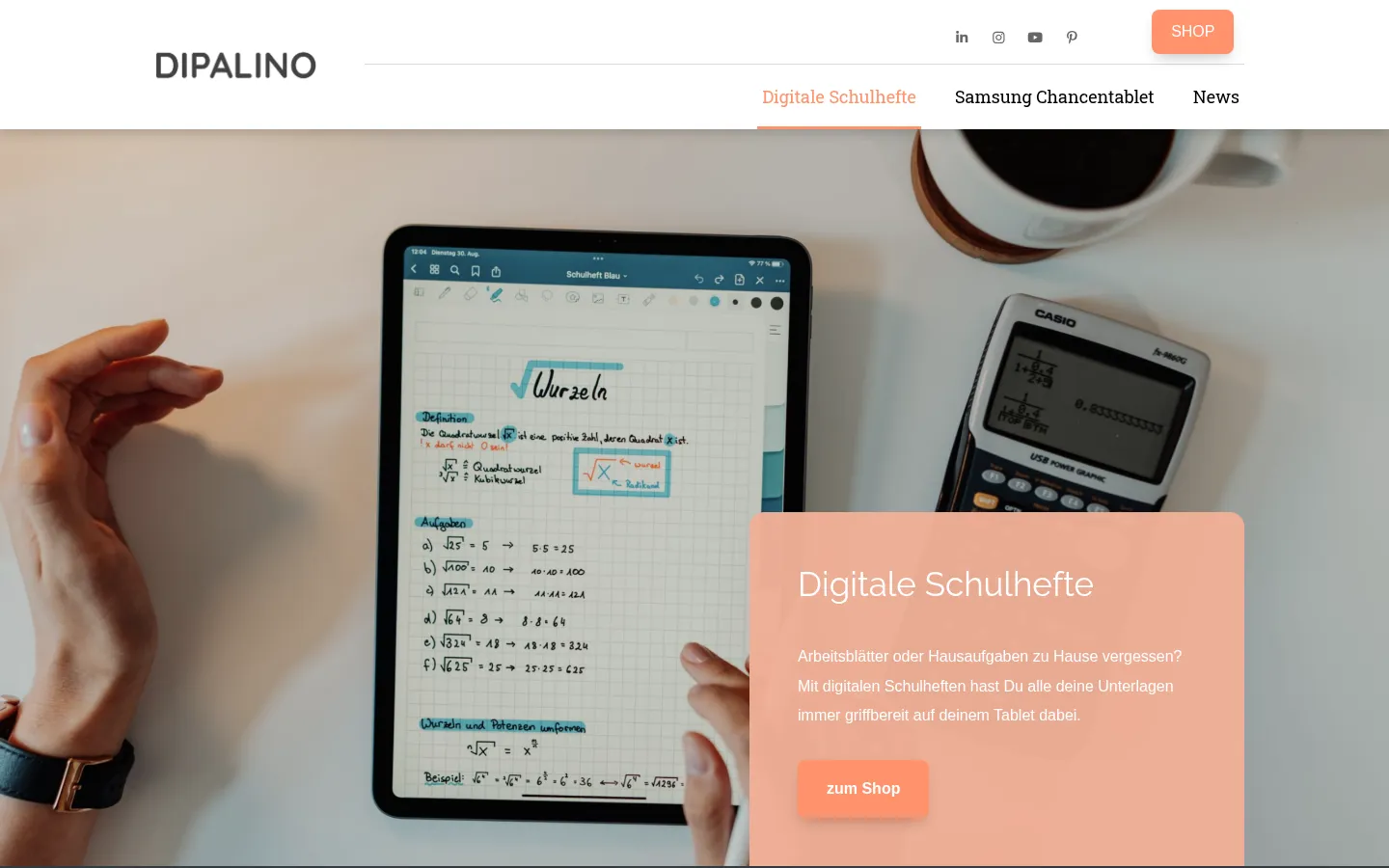 Screenshot der geprüften Website https://dipalino.com/
